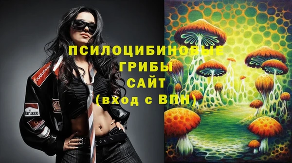 прущие крисы Гусь-Хрустальный