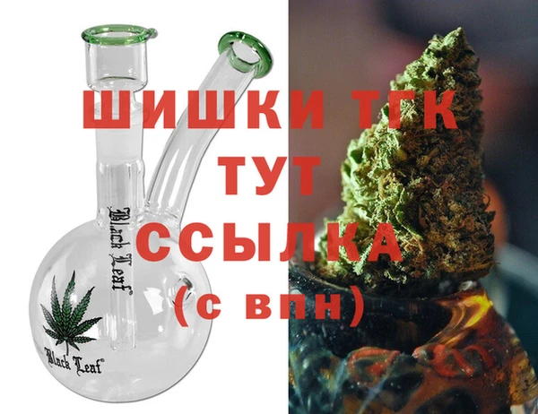 круглые Гусев
