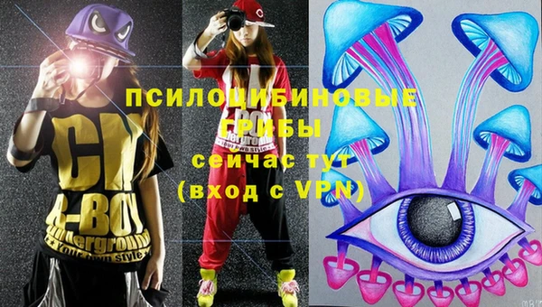 круглые Гусев