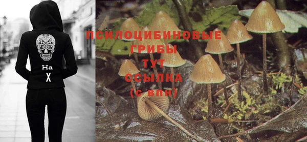 меф Дмитров