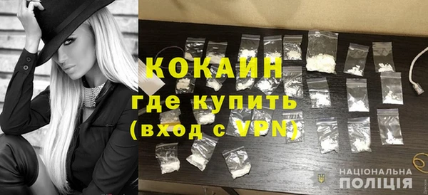гашик Дмитриев