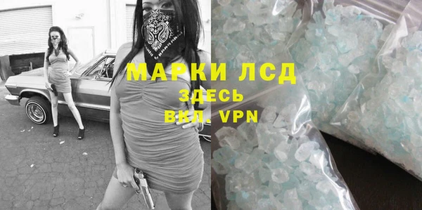 гашик Дмитриев