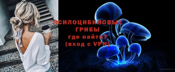 гашик Дмитровск